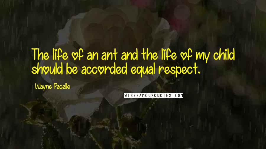 Wayne Pacelle Quotes: The life of an ant and the life of my child should be accorded equal respect.