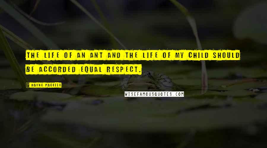 Wayne Pacelle Quotes: The life of an ant and the life of my child should be accorded equal respect.