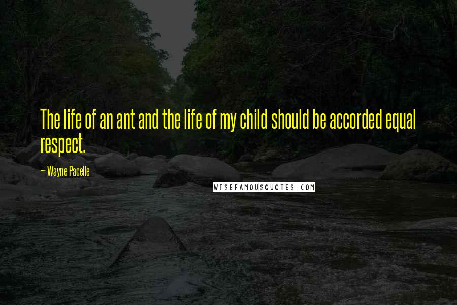 Wayne Pacelle Quotes: The life of an ant and the life of my child should be accorded equal respect.