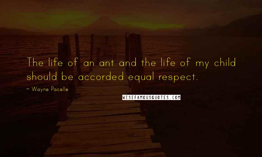 Wayne Pacelle Quotes: The life of an ant and the life of my child should be accorded equal respect.
