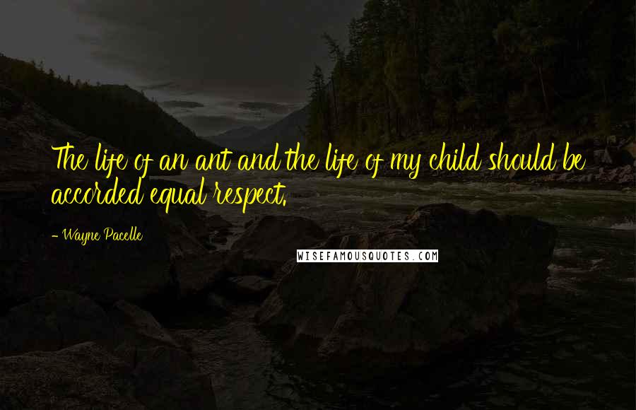 Wayne Pacelle Quotes: The life of an ant and the life of my child should be accorded equal respect.