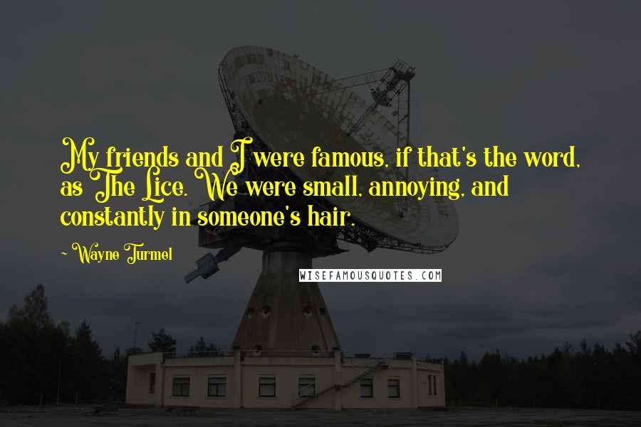 Wayne Turmel Quotes: My friends and I were famous, if that's the word, as The Lice. We were small, annoying, and constantly in someone's hair.