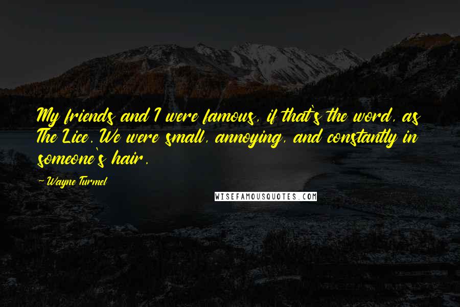 Wayne Turmel Quotes: My friends and I were famous, if that's the word, as The Lice. We were small, annoying, and constantly in someone's hair.