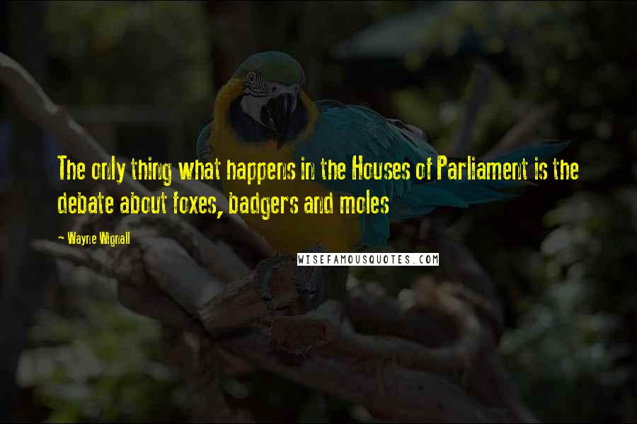 Wayne Wignall Quotes: The only thing what happens in the Houses of Parliament is the debate about foxes, badgers and moles