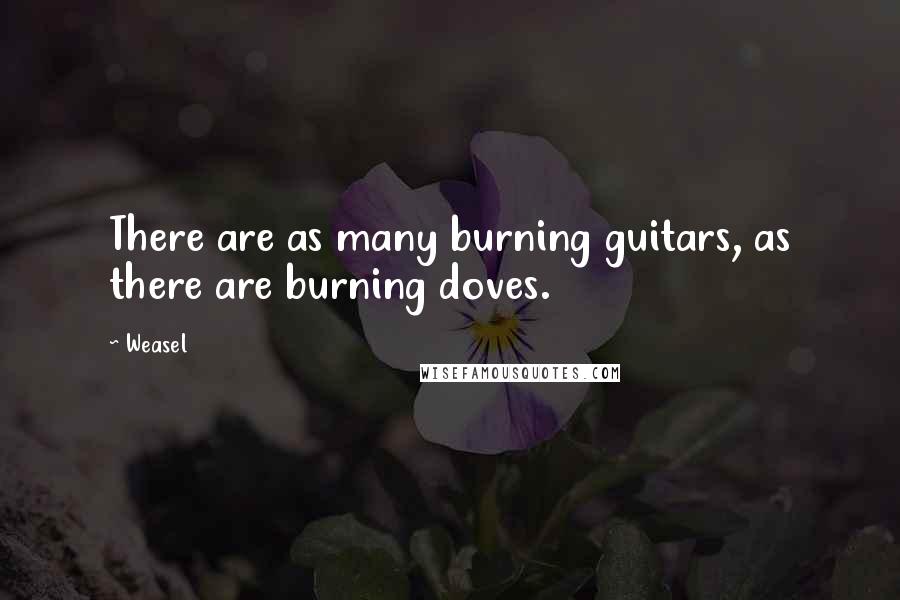 Weasel Quotes: There are as many burning guitars, as there are burning doves.