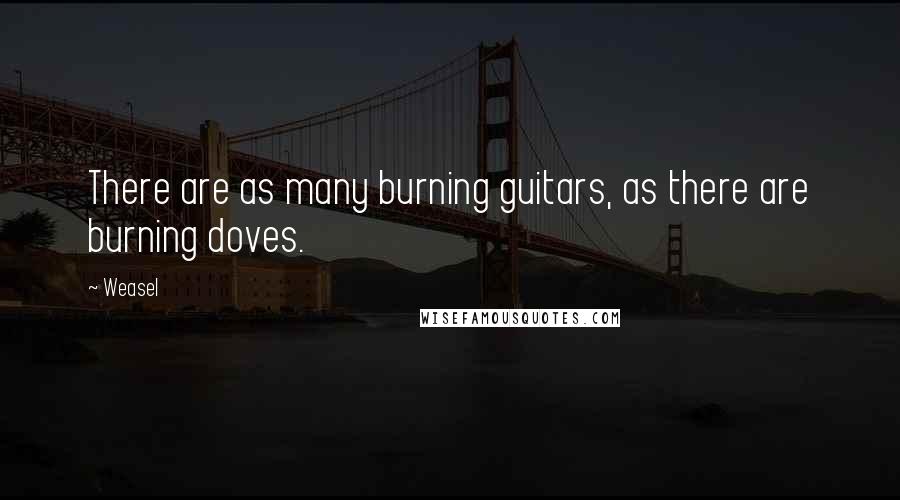Weasel Quotes: There are as many burning guitars, as there are burning doves.