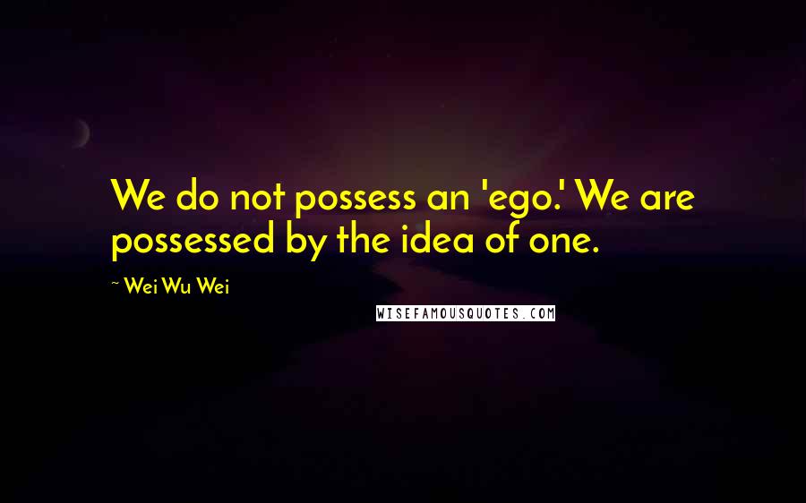 Wei Wu Wei Quotes: We do not possess an 'ego.' We are possessed by the idea of one.