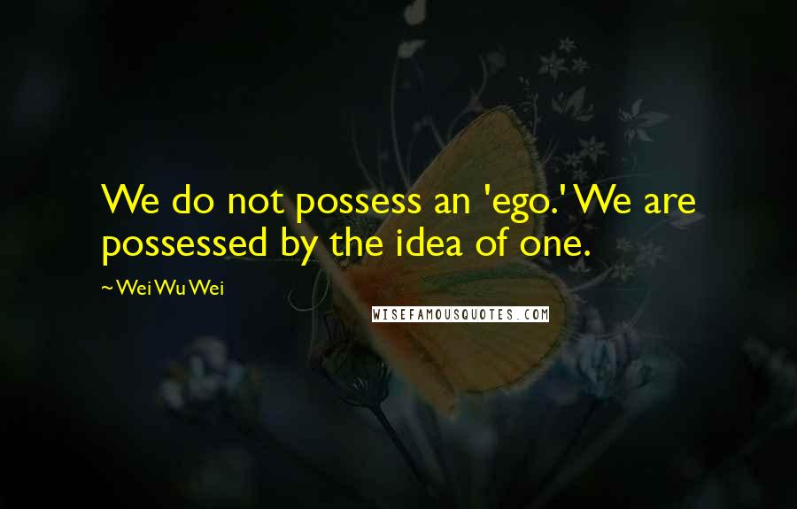 Wei Wu Wei Quotes: We do not possess an 'ego.' We are possessed by the idea of one.