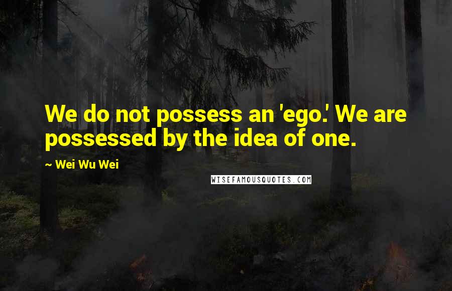 Wei Wu Wei Quotes: We do not possess an 'ego.' We are possessed by the idea of one.