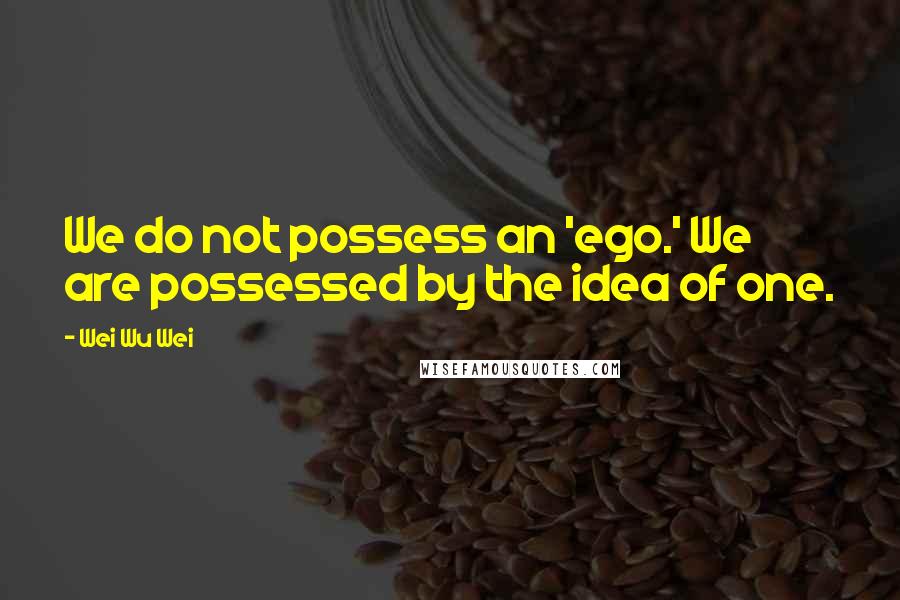 Wei Wu Wei Quotes: We do not possess an 'ego.' We are possessed by the idea of one.