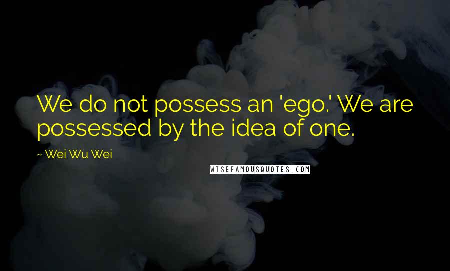 Wei Wu Wei Quotes: We do not possess an 'ego.' We are possessed by the idea of one.