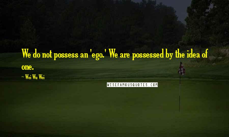 Wei Wu Wei Quotes: We do not possess an 'ego.' We are possessed by the idea of one.