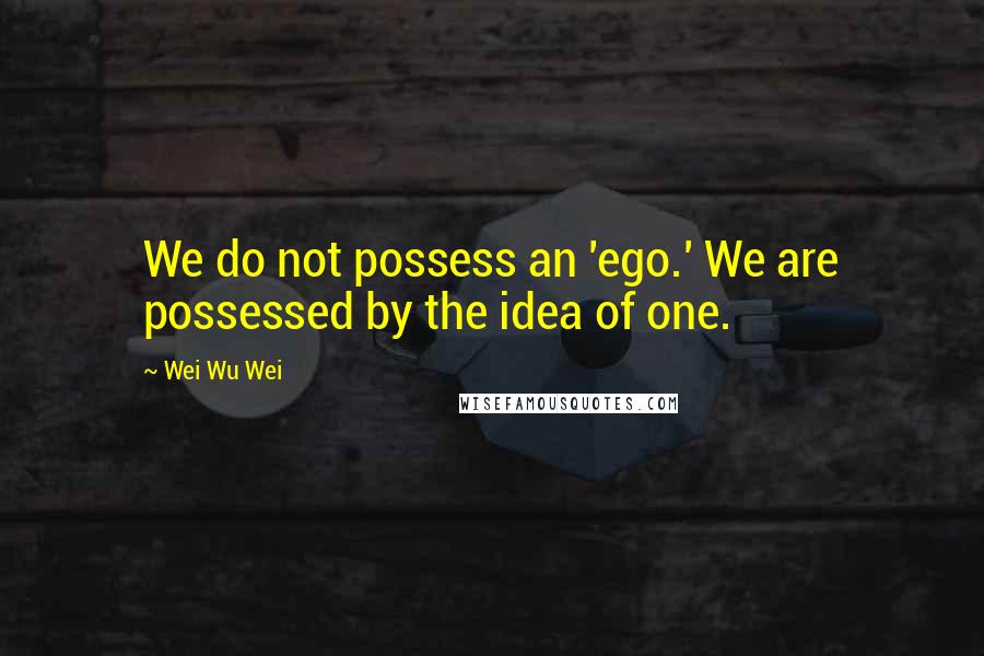 Wei Wu Wei Quotes: We do not possess an 'ego.' We are possessed by the idea of one.