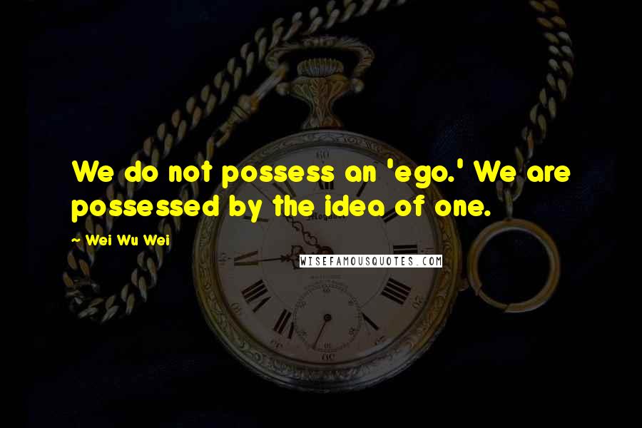 Wei Wu Wei Quotes: We do not possess an 'ego.' We are possessed by the idea of one.