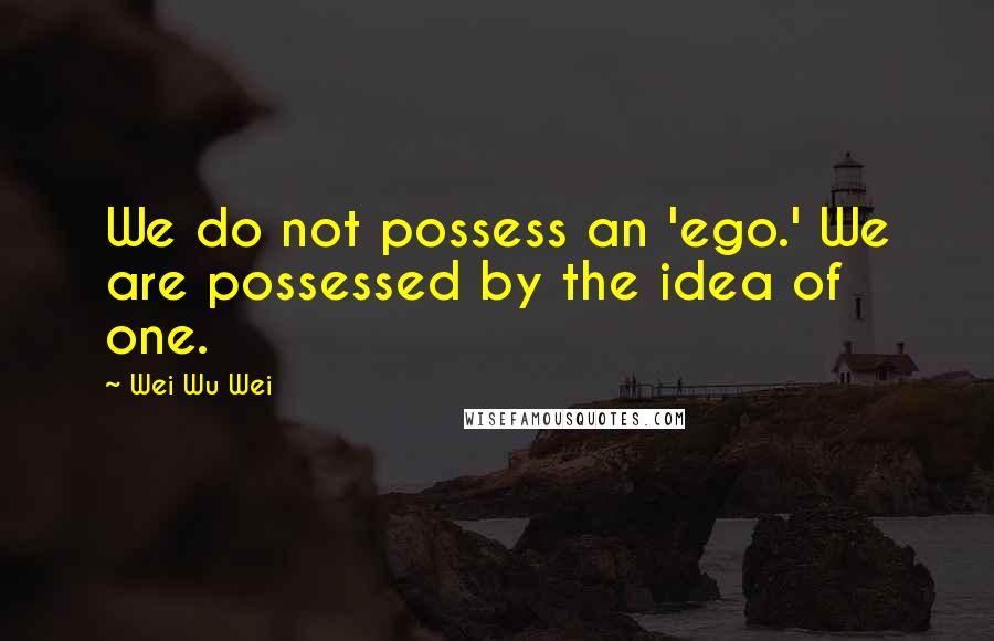 Wei Wu Wei Quotes: We do not possess an 'ego.' We are possessed by the idea of one.