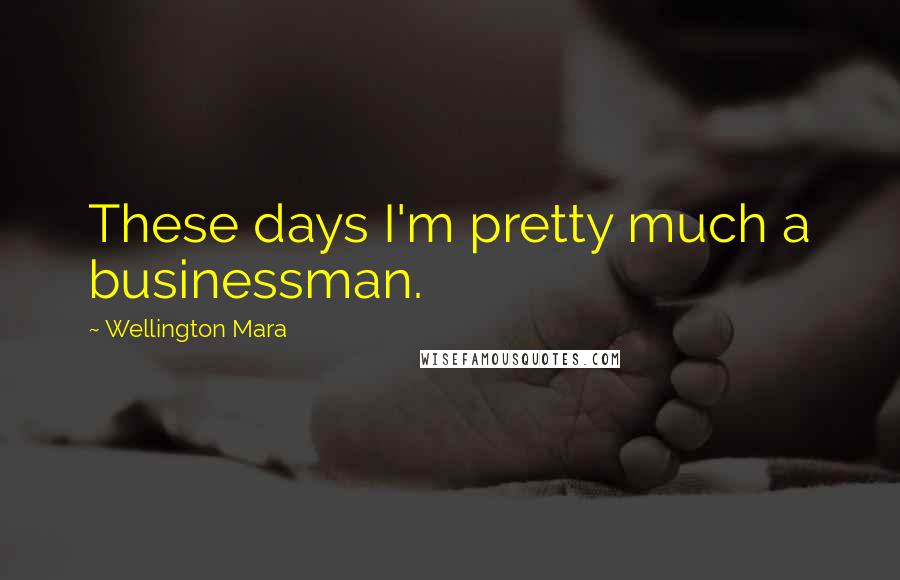 Wellington Mara Quotes: These days I'm pretty much a businessman.