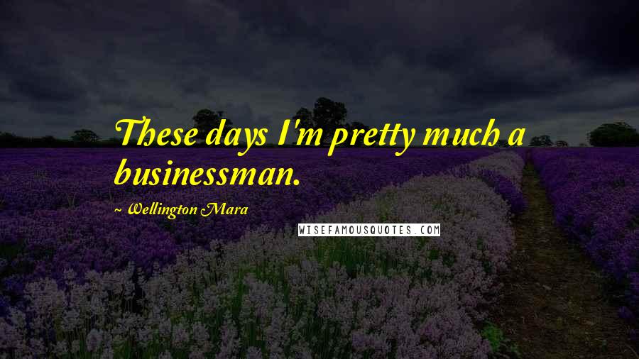 Wellington Mara Quotes: These days I'm pretty much a businessman.