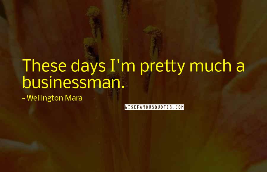 Wellington Mara Quotes: These days I'm pretty much a businessman.