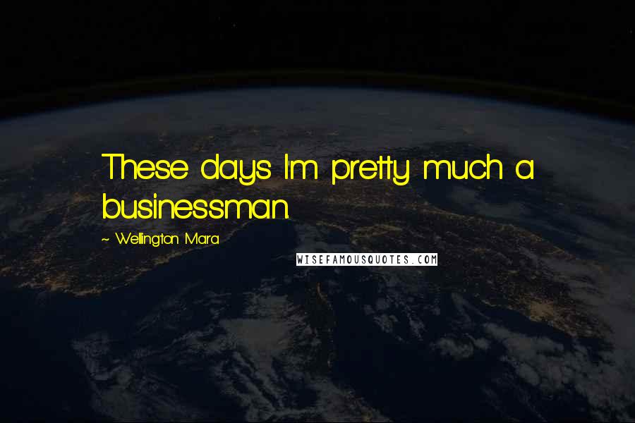 Wellington Mara Quotes: These days I'm pretty much a businessman.