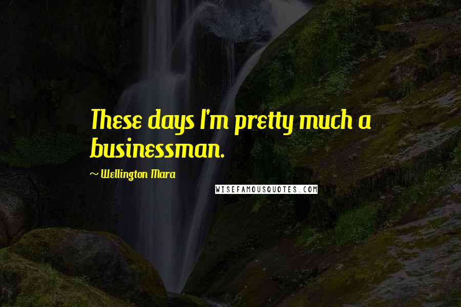 Wellington Mara Quotes: These days I'm pretty much a businessman.