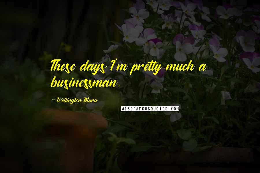 Wellington Mara Quotes: These days I'm pretty much a businessman.