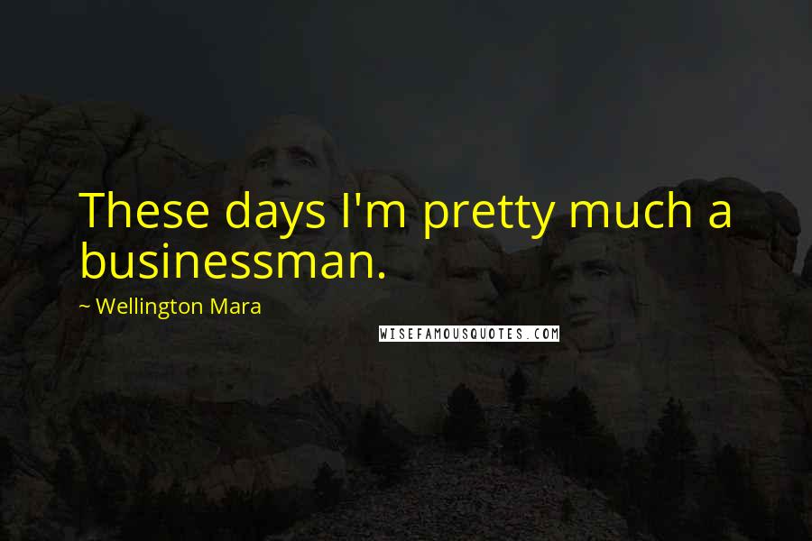 Wellington Mara Quotes: These days I'm pretty much a businessman.