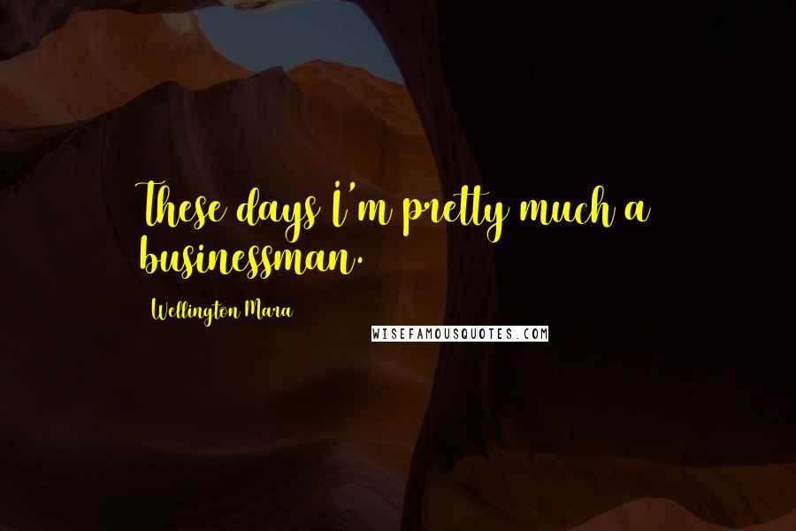 Wellington Mara Quotes: These days I'm pretty much a businessman.