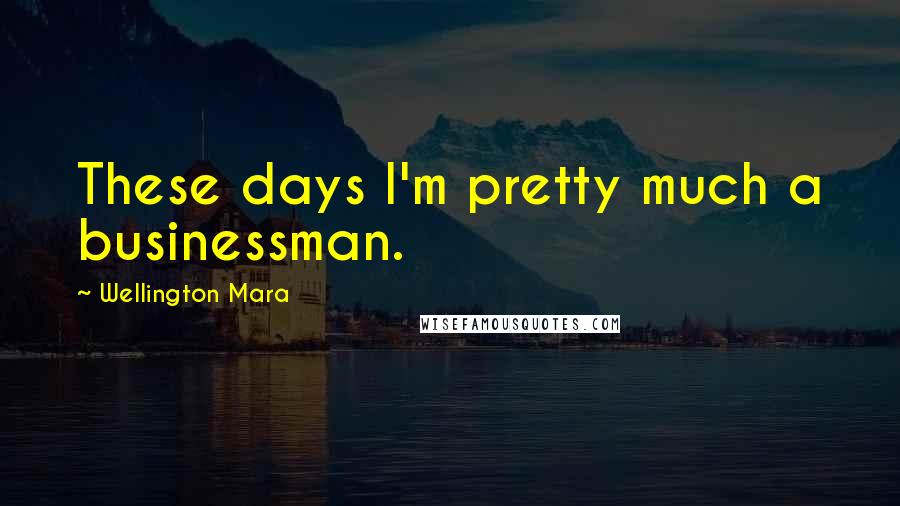 Wellington Mara Quotes: These days I'm pretty much a businessman.