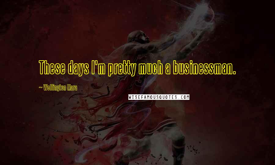 Wellington Mara Quotes: These days I'm pretty much a businessman.