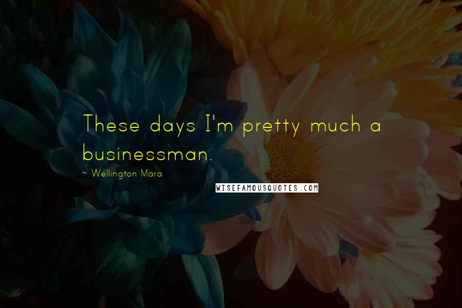 Wellington Mara Quotes: These days I'm pretty much a businessman.