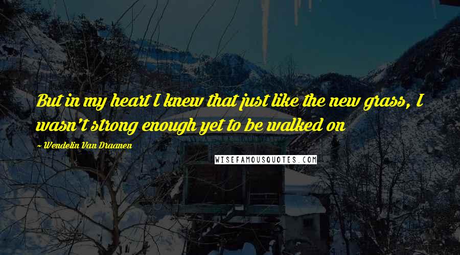 Wendelin Van Draanen Quotes: But in my heart I knew that just like the new grass, I wasn't strong enough yet to be walked on
