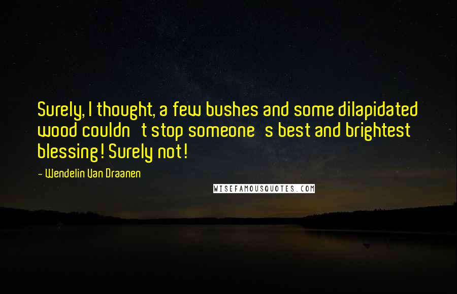 Wendelin Van Draanen Quotes: Surely, I thought, a few bushes and some dilapidated wood couldn't stop someone's best and brightest blessing! Surely not!