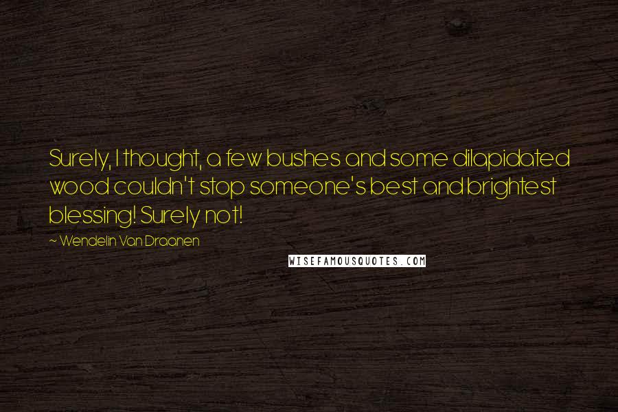 Wendelin Van Draanen Quotes: Surely, I thought, a few bushes and some dilapidated wood couldn't stop someone's best and brightest blessing! Surely not!