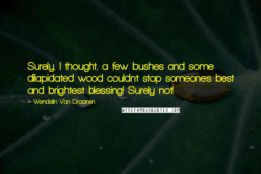 Wendelin Van Draanen Quotes: Surely, I thought, a few bushes and some dilapidated wood couldn't stop someone's best and brightest blessing! Surely not!