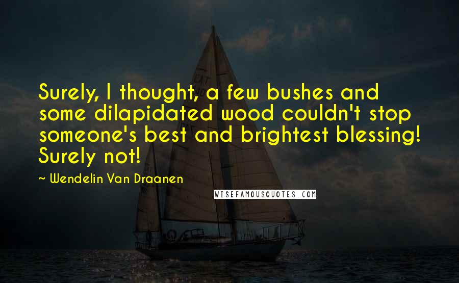 Wendelin Van Draanen Quotes: Surely, I thought, a few bushes and some dilapidated wood couldn't stop someone's best and brightest blessing! Surely not!