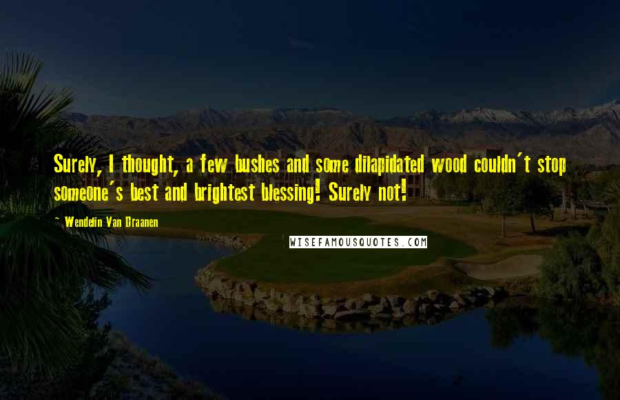 Wendelin Van Draanen Quotes: Surely, I thought, a few bushes and some dilapidated wood couldn't stop someone's best and brightest blessing! Surely not!