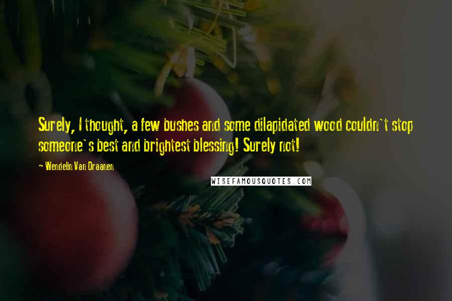 Wendelin Van Draanen Quotes: Surely, I thought, a few bushes and some dilapidated wood couldn't stop someone's best and brightest blessing! Surely not!