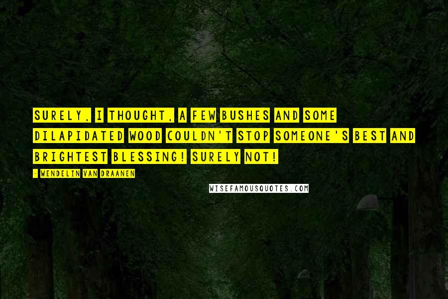 Wendelin Van Draanen Quotes: Surely, I thought, a few bushes and some dilapidated wood couldn't stop someone's best and brightest blessing! Surely not!