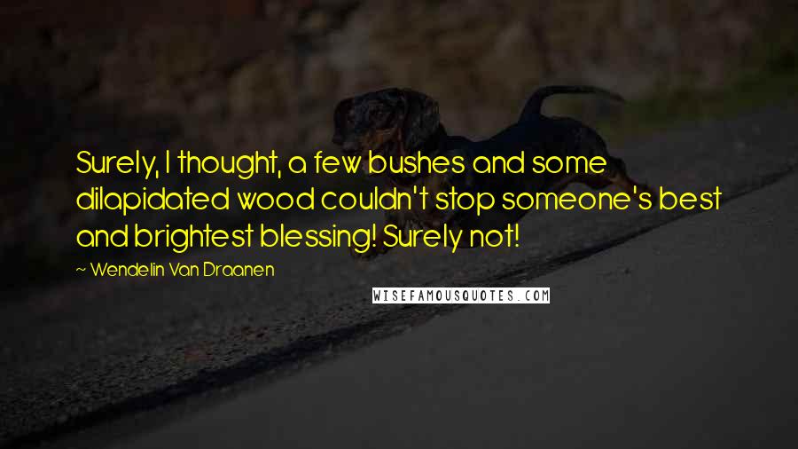 Wendelin Van Draanen Quotes: Surely, I thought, a few bushes and some dilapidated wood couldn't stop someone's best and brightest blessing! Surely not!
