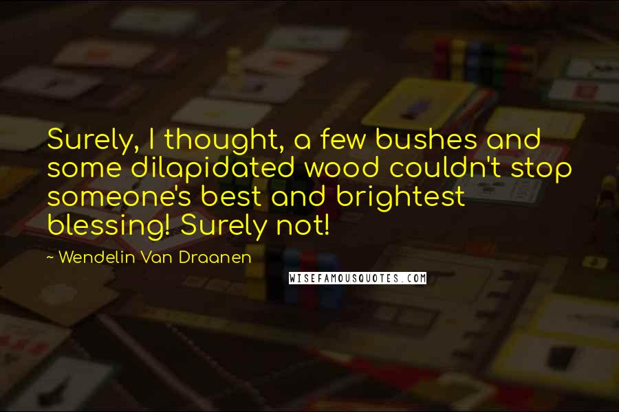 Wendelin Van Draanen Quotes: Surely, I thought, a few bushes and some dilapidated wood couldn't stop someone's best and brightest blessing! Surely not!