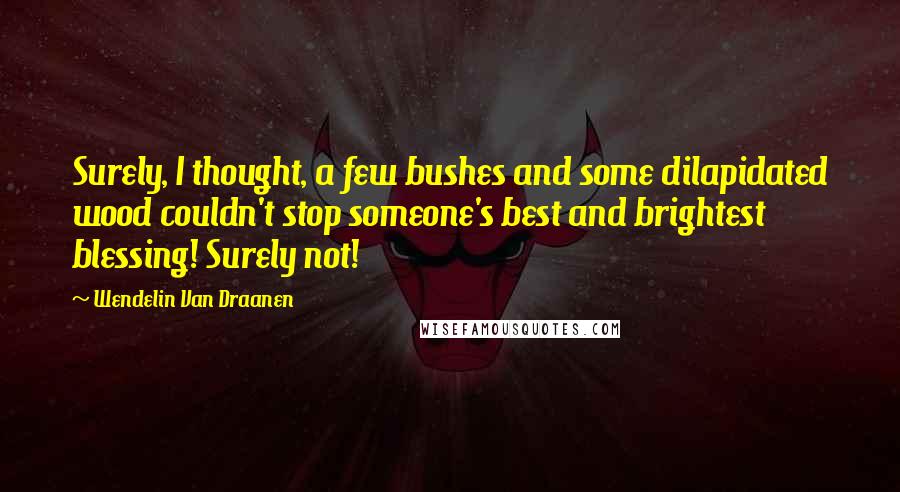 Wendelin Van Draanen Quotes: Surely, I thought, a few bushes and some dilapidated wood couldn't stop someone's best and brightest blessing! Surely not!