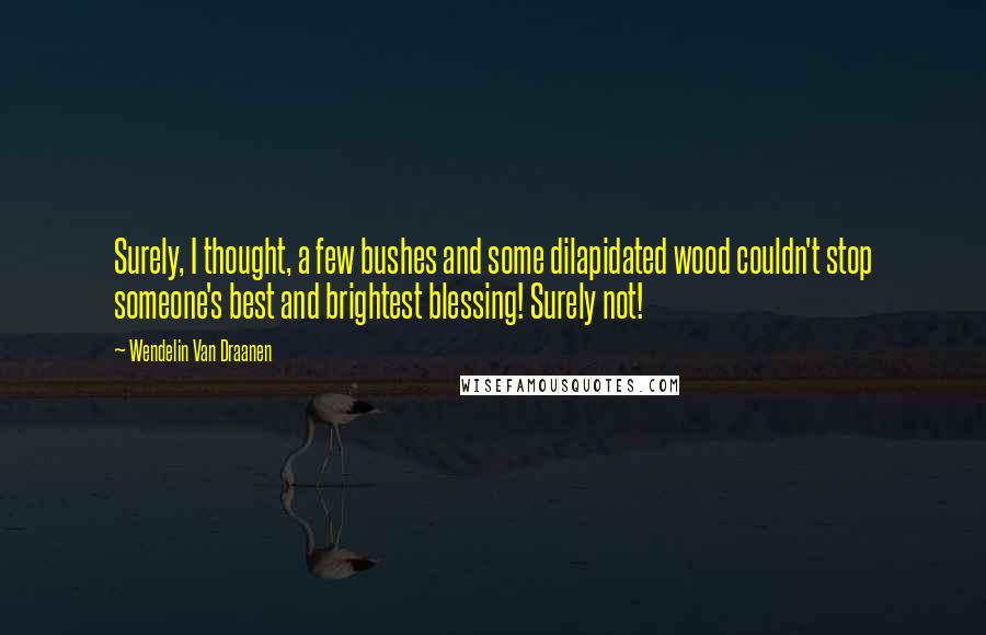 Wendelin Van Draanen Quotes: Surely, I thought, a few bushes and some dilapidated wood couldn't stop someone's best and brightest blessing! Surely not!