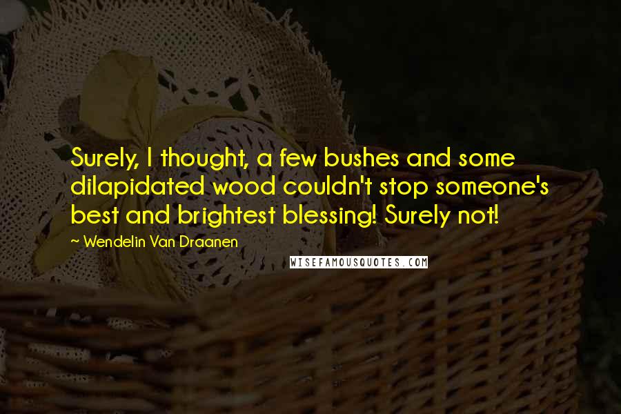 Wendelin Van Draanen Quotes: Surely, I thought, a few bushes and some dilapidated wood couldn't stop someone's best and brightest blessing! Surely not!