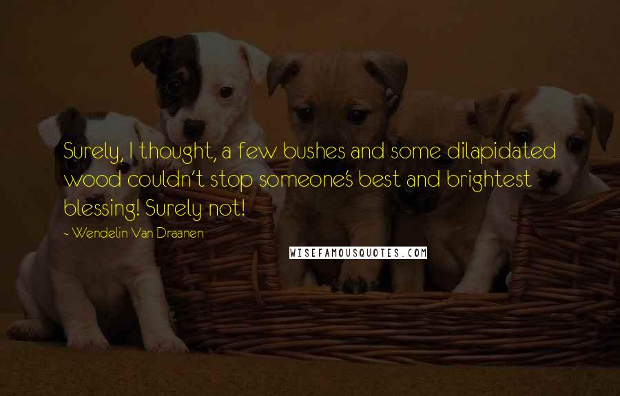 Wendelin Van Draanen Quotes: Surely, I thought, a few bushes and some dilapidated wood couldn't stop someone's best and brightest blessing! Surely not!
