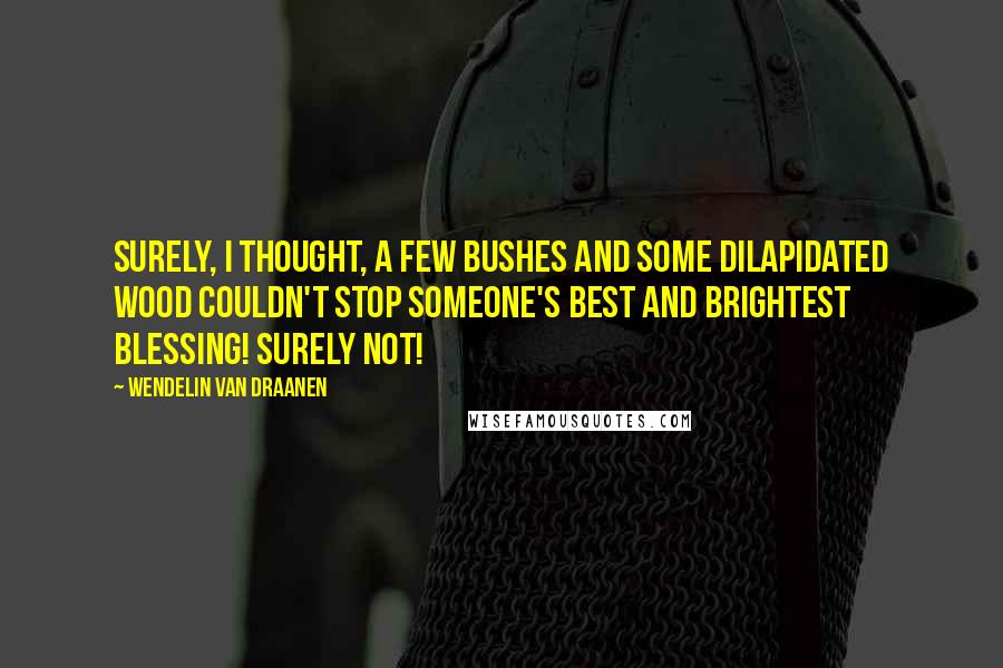 Wendelin Van Draanen Quotes: Surely, I thought, a few bushes and some dilapidated wood couldn't stop someone's best and brightest blessing! Surely not!