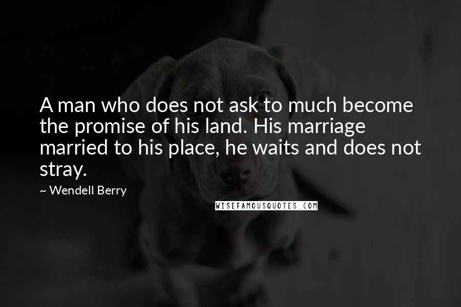 Wendell Berry Quotes: A man who does not ask to much become the promise of his land. His marriage married to his place, he waits and does not stray.