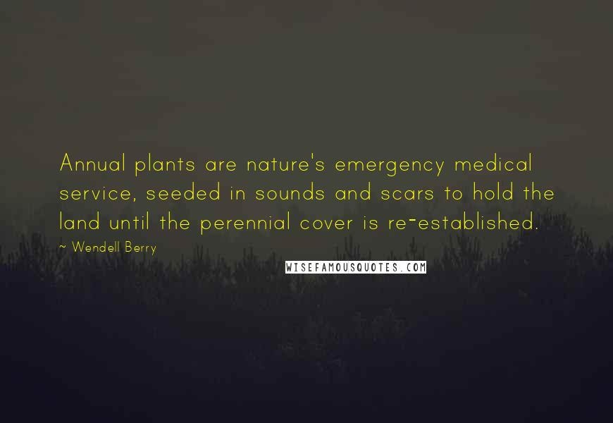 Wendell Berry Quotes: Annual plants are nature's emergency medical service, seeded in sounds and scars to hold the land until the perennial cover is re-established.