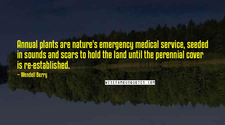 Wendell Berry Quotes: Annual plants are nature's emergency medical service, seeded in sounds and scars to hold the land until the perennial cover is re-established.