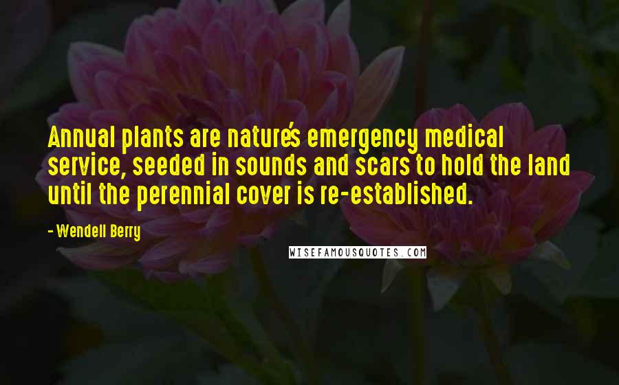 Wendell Berry Quotes: Annual plants are nature's emergency medical service, seeded in sounds and scars to hold the land until the perennial cover is re-established.