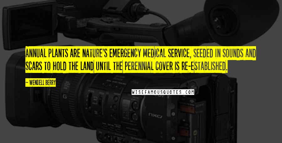 Wendell Berry Quotes: Annual plants are nature's emergency medical service, seeded in sounds and scars to hold the land until the perennial cover is re-established.
